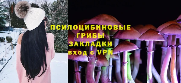 Альфа ПВП Нея