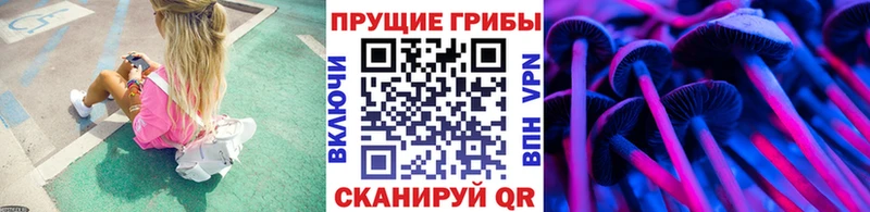 продажа наркотиков  Хилок  Псилоцибиновые грибы мухоморы 