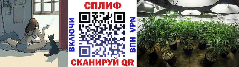 где можно купить OMG МАРИХУАНА ГИДРОПОН Хилок
